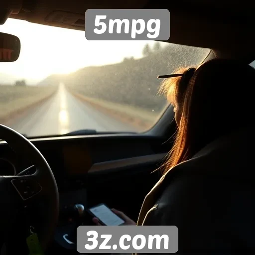 Feedback dos usuários sobre a experiência no 5mpg